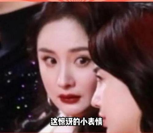 理性吃娱乐圈瓜,揭秘明星幕后真相